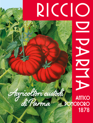 Pomodoro Riccio di Parma