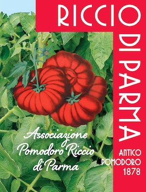 Pomodoro Riccio di Parma