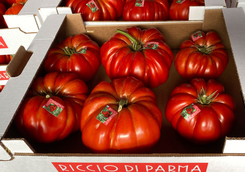 Pomodoro Riccio confezionato con marchio