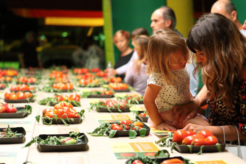 Piccoli visitatori alla Festa del Pomodoro