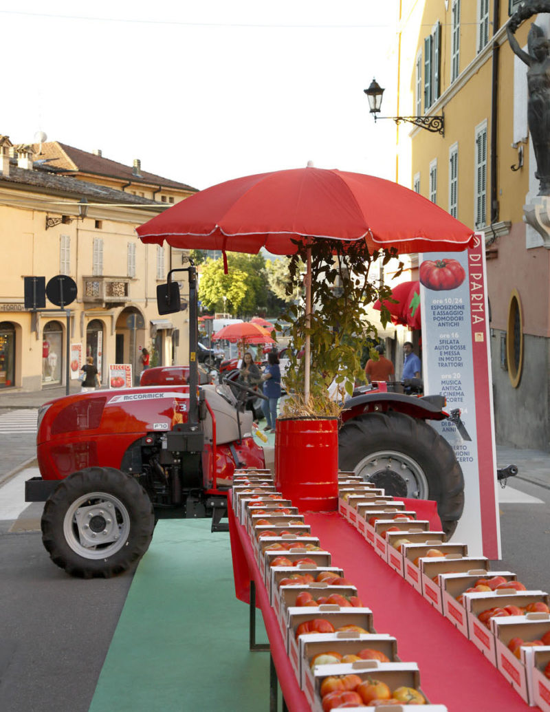 Apparecchiata di cassette di Riccio