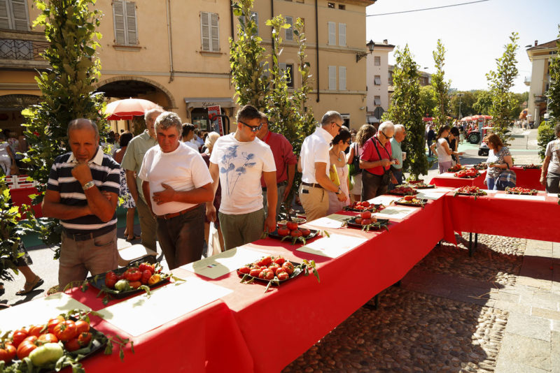 Visitatori alla Festa del Pomodoro a Traversetolo