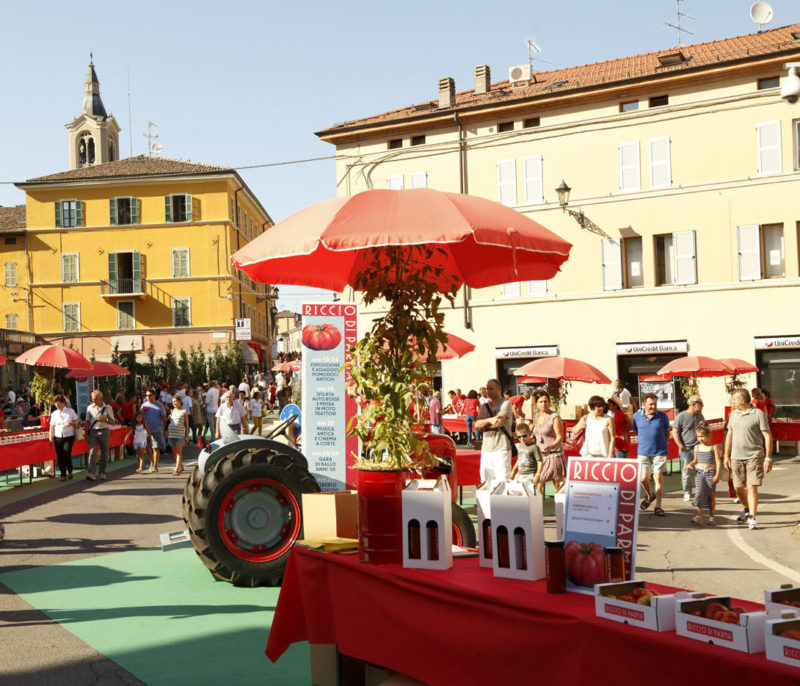 Esposizione confezioni di Riccio di Parma