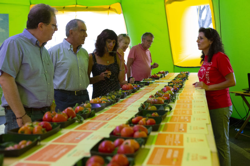 Esposizione a Rural di antiche varietà di pomodoro