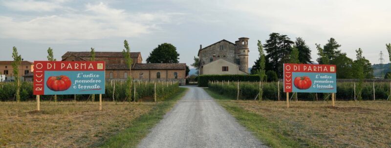 Ingresso podere La Mamiana a Panocchia